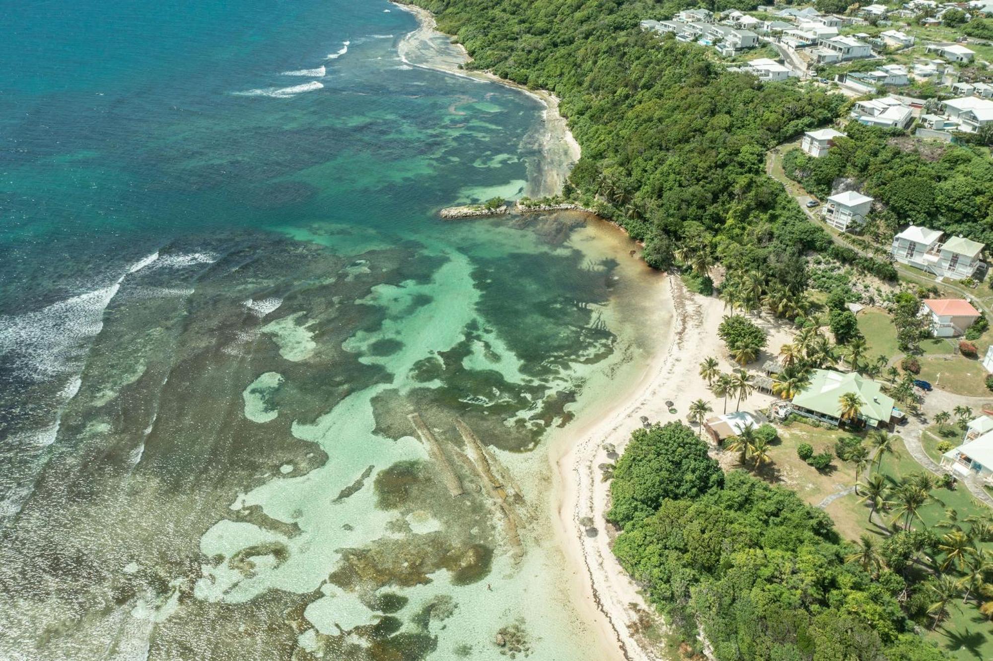Appartement Le Pti' Zandoli Anse des Rochers à Saint-Francois  Extérieur photo